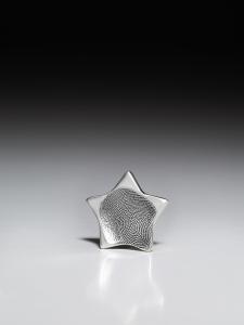 Stern-Coin